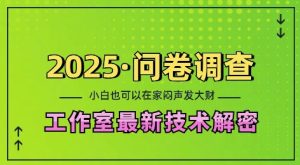 2025问卷调查最新工作室技术解密:一个人在家也可以闷声发大财,小白一天2张,可矩阵放大【揭秘】-升阶有道