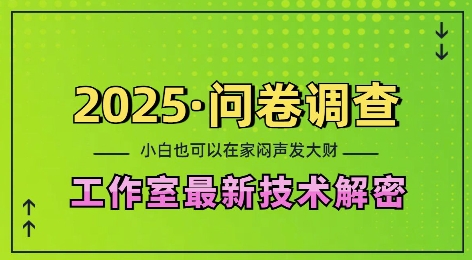 2025问卷调查最新工作室技术解密：一个人在家也可以闷声发大财，小白一天2张，可矩阵放大【揭秘】-升阶有道