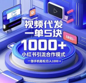 视频代发，一单5块，小红书引流合作模式，一部手机轻松日入多张【揭秘】-升阶有道