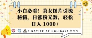 小白必看,美女图片引流秘籍,日涨粉无数,轻松日入几张【揭秘】-升阶有道