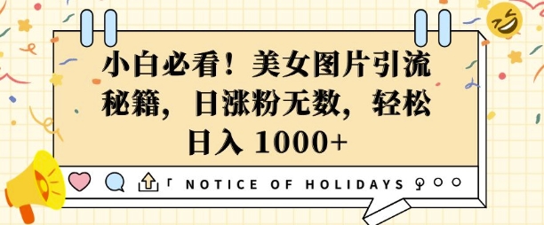 小白必看，美女图片引流秘籍，日涨粉无数，轻松日入几张【揭秘】-升阶有道