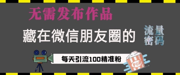 藏在微信朋友圈的流量密码，无需发布作品，单日引流100+精准创业粉【揭秘】-升阶有道