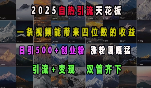 2025自热引流天花板，一条视频能带来四位数的收益，引流+变现双管齐下，日引500+创业粉，涨粉嘎嘎猛-升阶有道