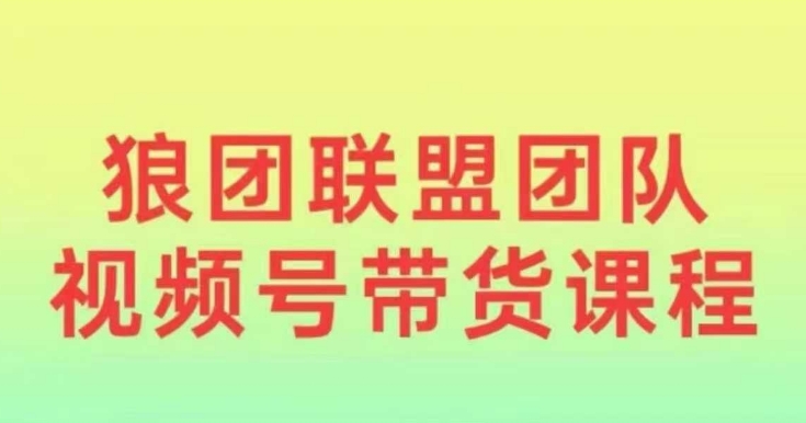 狼团联盟2024视频号带货，0基础小白快速入局视频号-升阶有道