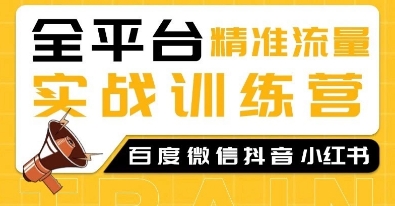 全平台精准流量实战训练营，百度微信抖音小红书SEO引流教程-升阶有道