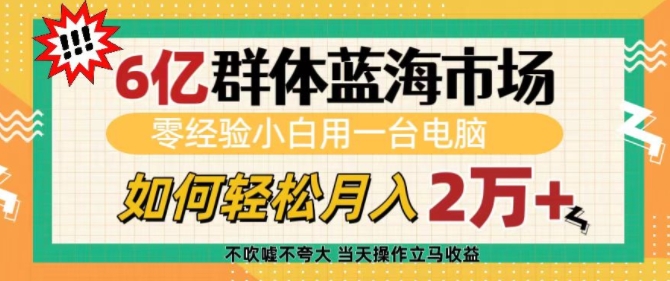 6亿群体蓝海市场，零经验小白用一台电脑，如何轻松月入过w【揭秘】-升阶有道