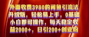 外面收费3980的闲鱼引流法,轻松易上手,0基础小白即可操作,日引200+创业粉的保姆级教程【揭秘】-升阶有道