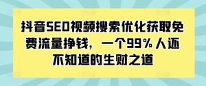 抖音SEO视频搜索优化获取免费流量挣钱,一个99%人还不知道的生财之道-升阶有道