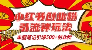 小红书创业粉引流神玩法,单图笔记引爆500+精准创业粉丝,私信狂潮接连不断-升阶有道