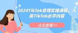 2024TikTok变现实操课程,入局TikTok必学内容-升阶有道