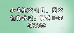 小说推文项目，图文创作玩法，新手10天挣3000-升阶有道