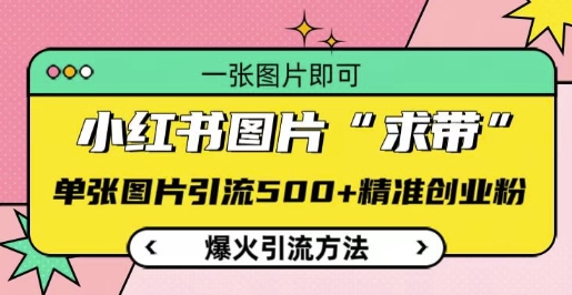 小红书图片‘求带’爆火引流法，单张图片引流500+精准创业粉【揭秘】-升阶有道