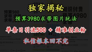 预算3980求带 图片玩法,单条日引流500+精准创业粉,私信根本回不完-升阶有道
