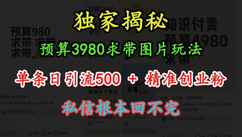 预算3980求带 图片玩法，单条日引流500+精准创业粉，私信根本回不完-升阶有道