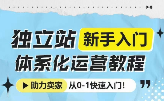 独立站新手入门体系化运营教程，助力独立站卖家从0-1快速入门!-升阶有道