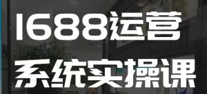 1688高阶运营系统实操课，快速掌握1688店铺运营的核心玩法-升阶有道