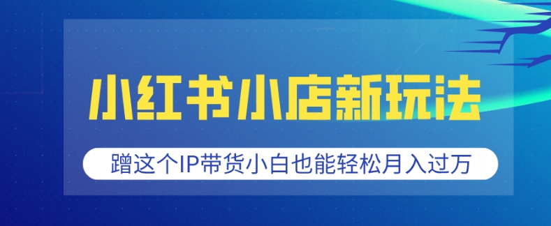 小红书小店新玩法，蹭这个IP带货，小白也能轻松月入过W【揭秘】-升阶有道