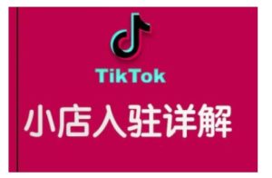 TikTok跨境小店运营全攻略，帮助你独立运营TK跨境小店的能力，实现销量增长-升阶有道
