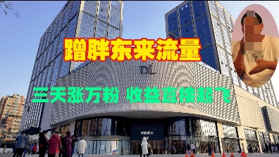蹭胖东来流量，三天涨万粉，收益直接起飞-升阶有道