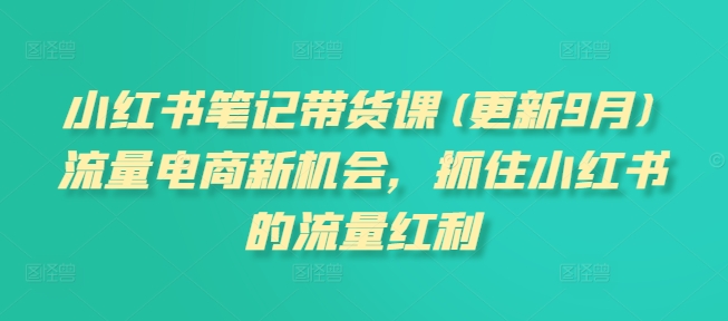 小红书笔记带货课(更新25年1月)流量电商新机会，抓住小红书的流量红利-升阶有道