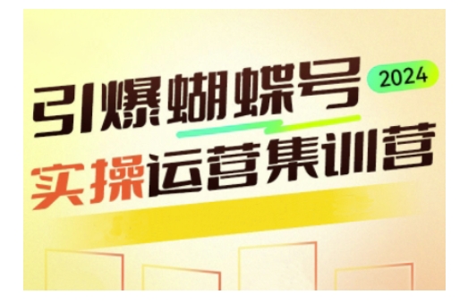 引爆蝴蝶号实操运营，助力你深度掌握蝴蝶号运营，实现高效实操，开启流量变现之路-升阶有道