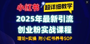 2025年最新小红书引流创业粉实战课程【超详细教学】小白轻松上手，月入1W+，附小红书养号SOP-升阶有道
