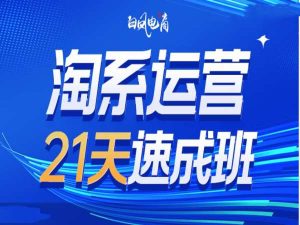 淘系运营21天速成班35期,年前最后一波和2025方向-升阶有道