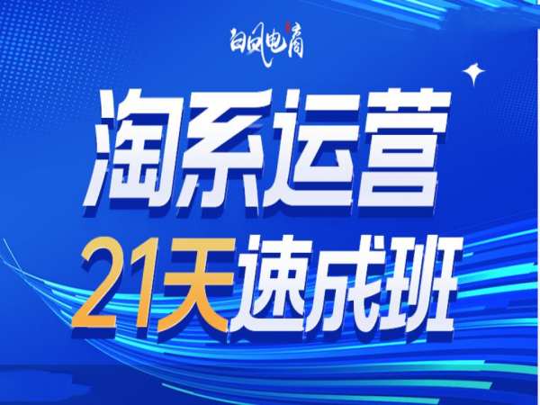 淘系运营21天速成班35期，年前最后一波和2025方向-升阶有道
