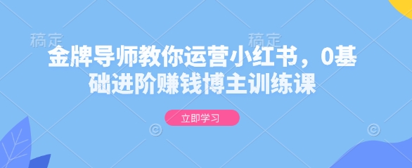 金牌导师教你运营小红书，0基础进阶赚钱博主训练课-升阶有道