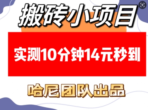 搬砖小项目，实测10分钟14元秒到，每天稳定几张(赠送必看稳定)-升阶有道