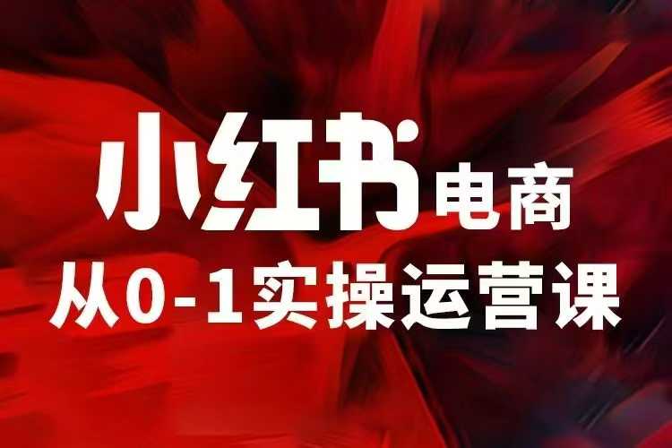 小红书电商运营，97节小红书vip内部课，带你实现小红书赚钱-升阶有道