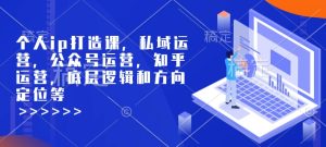 个人ip打造课,私域运营,公众号运营,知乎运营,底层逻辑和方向定位等-升阶有道