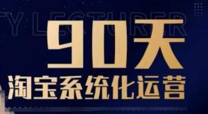 90天淘宝系统化运营,从入门到精通-升阶有道