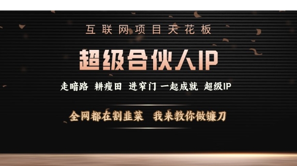 互联网项目天花板，超级合伙人IP，全网都在割韭菜，我来教你做镰刀【仅揭秘】-升阶有道