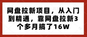 网盘拉新项目，从入门到精通，靠网盘拉新3个多月搞了16W-升阶有道