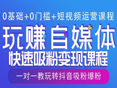 0基础+0门槛+短视频运营课程，玩赚自媒体快速吸粉变现课程，一对一教玩转抖音吸粉爆粉-升阶有道