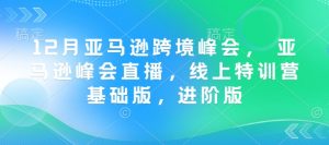 12月亚马逊跨境峰会， 亚马逊峰会直播，线上特训营基础版，进阶版-升阶有道