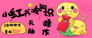 小红书冷知识账号，无脑复制粘贴，5分钟即可变现3张-升阶有道