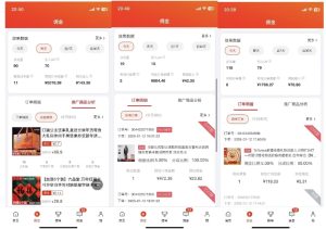 2025最新京东蓝海项目，0 门槛日入 1k+，小白宝妈轻松上手【揭秘】-升阶有道