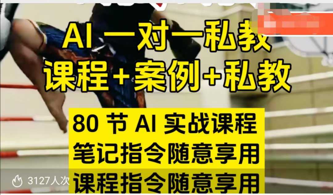 AI指令实战课，课程+案例，80节AI实战课程，笔记指令随意享用，课程指令随意享用-升阶有道