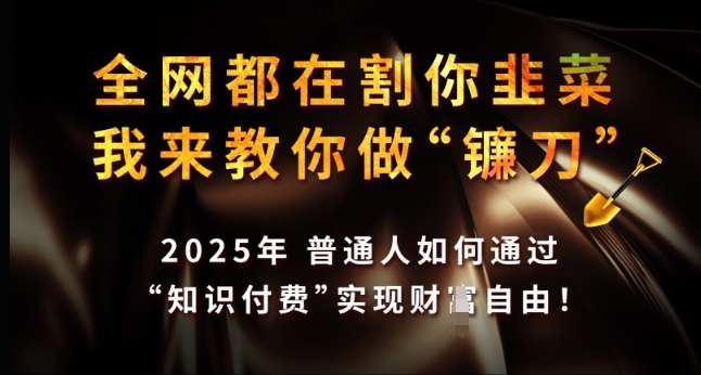 全网都在割你韭菜，我来教你做镰刀，2025年普通人如何通过 知识付费 实现财F自由【揭秘】-升阶有道