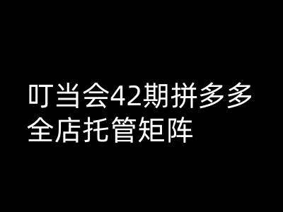 叮当会拼多多打爆班原创高阶技术第42期，拼多多全店托管矩阵-升阶有道