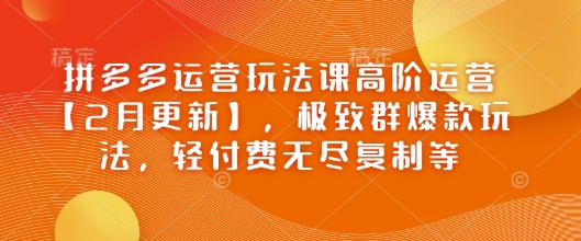 拼多多运营玩法课高阶运营【2月更新】，极致群爆款玩法，轻付费无尽复制等-升阶有道