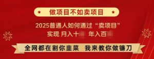必看,做项目不如卖项目,2025普通人如何通过“卖项目”实现月入十个,年入百个-升阶有道