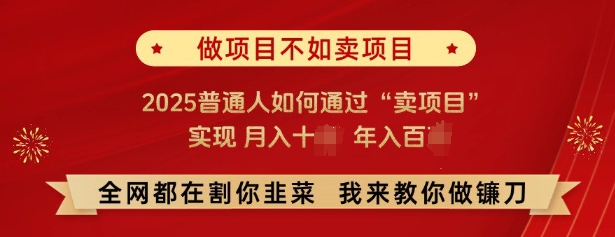 必看，做项目不如卖项目，2025普通人如何通过“卖项目”实现月入十个，年入百个-升阶有道