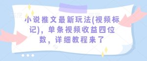 小说推文最新玩法(视频标记)，单条视频收益四位数，详细教程来了-升阶有道