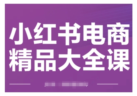 小红书电商精品大全课，快速掌握小红书运营技巧，实现精准引流与爆单目标，轻松玩转小红书电商-升阶有道