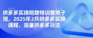 拼多多实操陪跑特训营弟子班,2025年2月拼多多实操课程,海量拼多多玩法-升阶有道