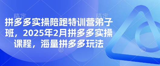 拼多多实操陪跑特训营弟子班，2025年2月拼多多实操课程，海量拼多多玩法-升阶有道