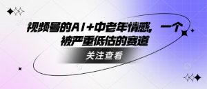 视频号的AI+中老年情感,一个被严重低估的赛道-升阶有道